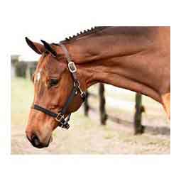Equinavia Loki Breakaway Horse Halter  Equinavia